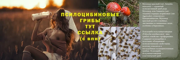 ECSTASY Лихославль