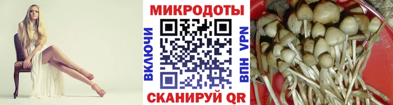 Галлюциногенные грибы Magic Shrooms  Терек 